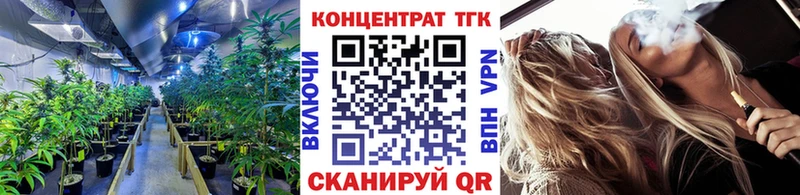 ТГК концентрат  MEGA вход  Верхняя Пышма 