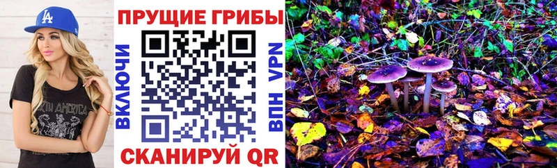 Галлюциногенные грибы мухоморы  ОМГ ОМГ рабочий сайт  Верхняя Пышма 